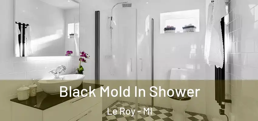  Black Mold In Shower Le Roy - MI
