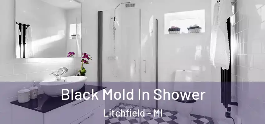  Black Mold In Shower Litchfield - MI