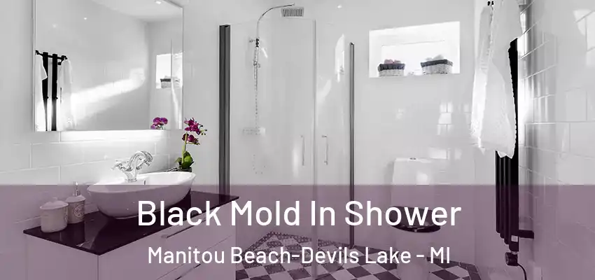  Black Mold In Shower Manitou Beach-Devils Lake - MI