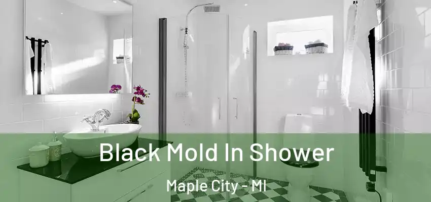 Black Mold In Shower Maple City - MI