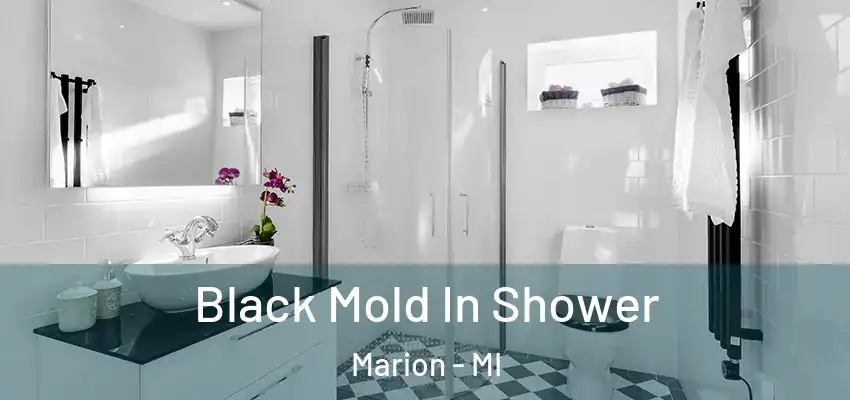  Black Mold In Shower Marion - MI