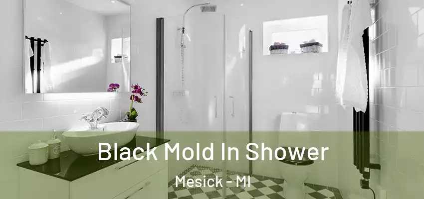  Black Mold In Shower Mesick - MI