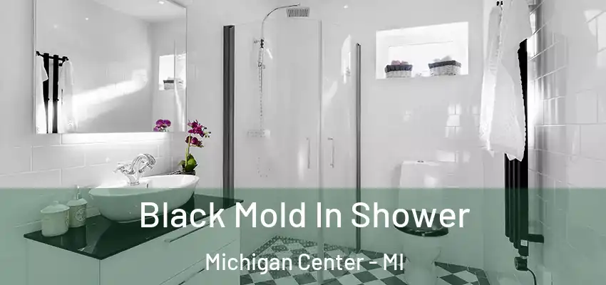 Black Mold In Shower Michigan Center - MI