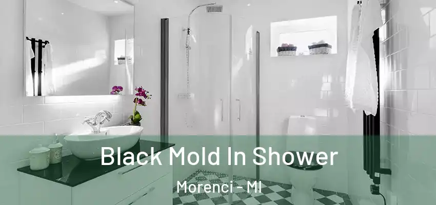 Black Mold In Shower Morenci - MI