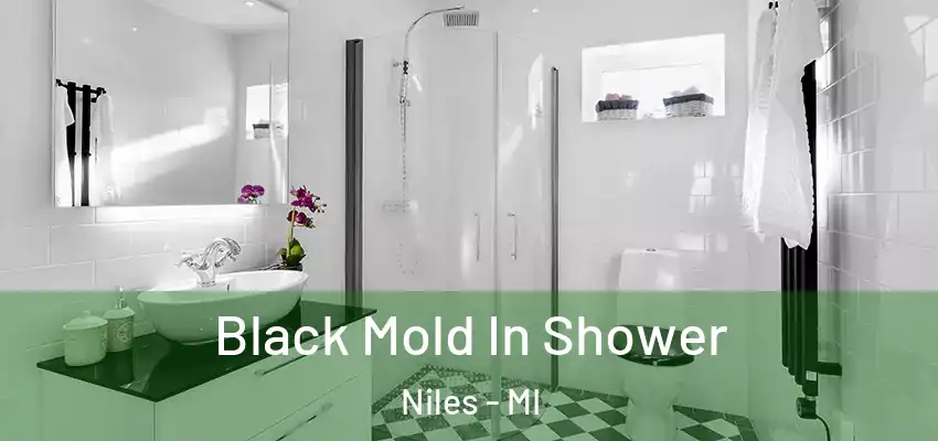  Black Mold In Shower Niles - MI