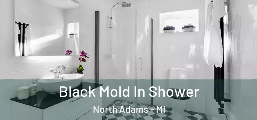  Black Mold In Shower North Adams - MI