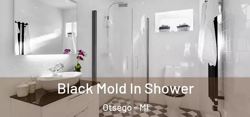  Black Mold In Shower Otsego - MI