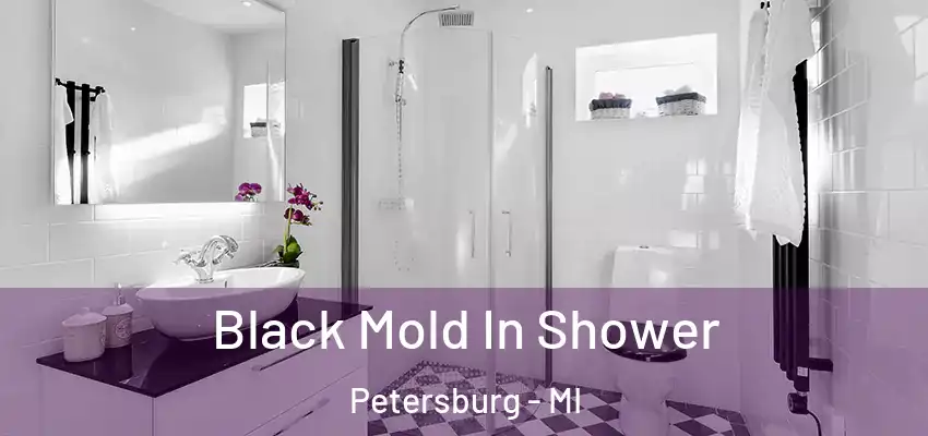 Black Mold In Shower Petersburg - MI