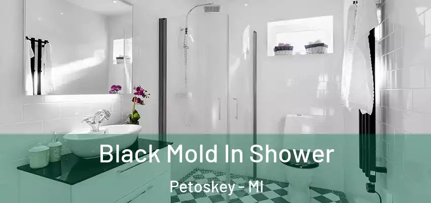  Black Mold In Shower Petoskey - MI