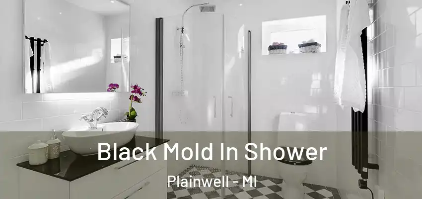  Black Mold In Shower Plainwell - MI