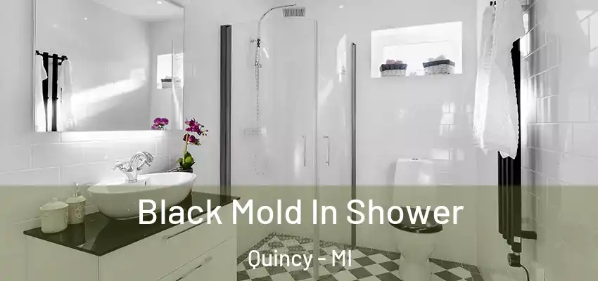  Black Mold In Shower Quincy - MI