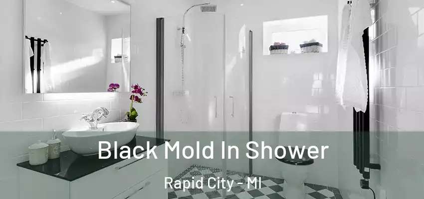 Black Mold In Shower Rapid City - MI