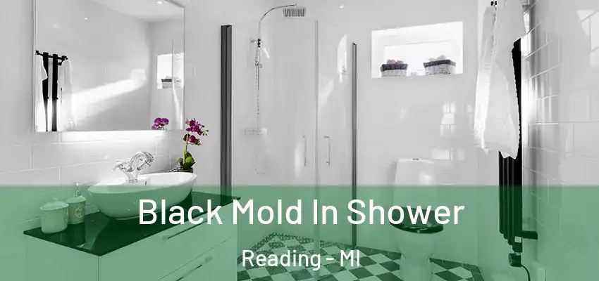 Black Mold In Shower Reading - MI