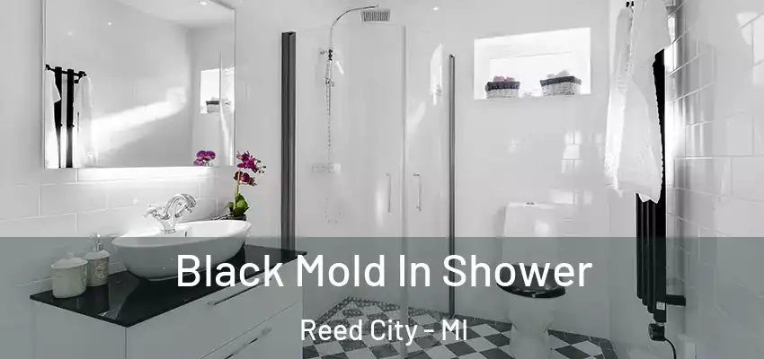  Black Mold In Shower Reed City - MI
