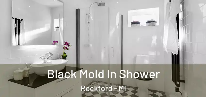  Black Mold In Shower Rockford - MI