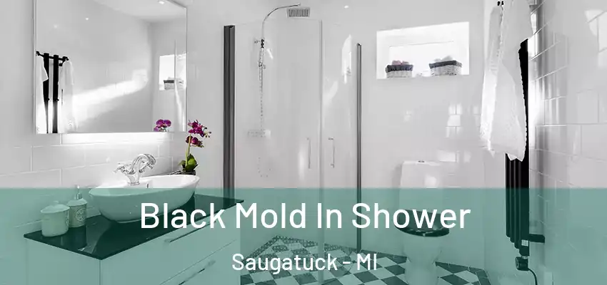 Black Mold In Shower Saugatuck - MI