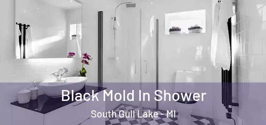  Black Mold In Shower South Gull Lake - MI
