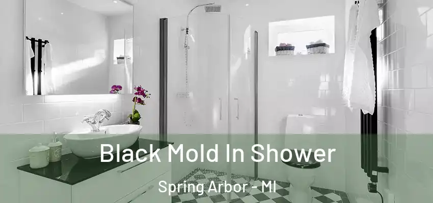  Black Mold In Shower Spring Arbor - MI