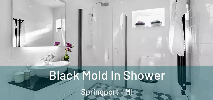  Black Mold In Shower Springport - MI