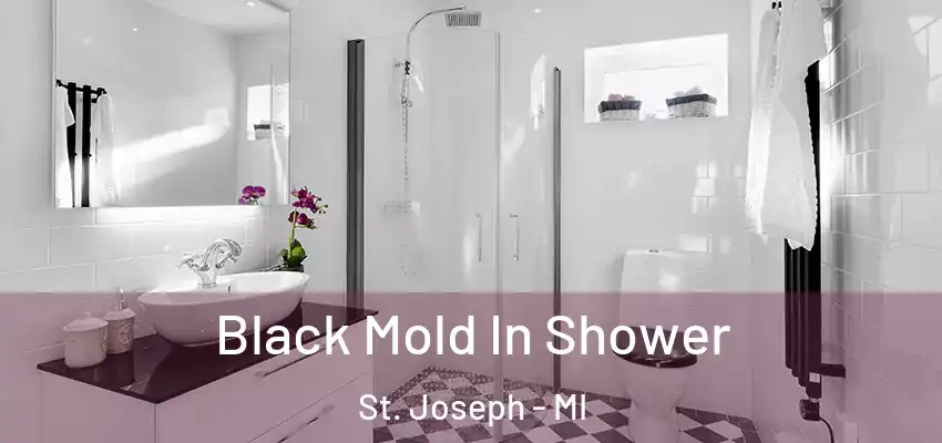  Black Mold In Shower St. Joseph - MI