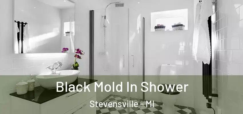 Black Mold In Shower Stevensville - MI