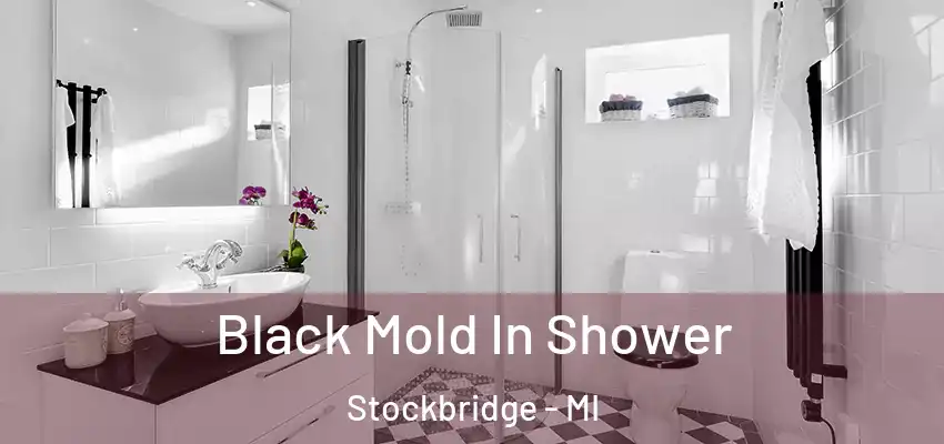  Black Mold In Shower Stockbridge - MI