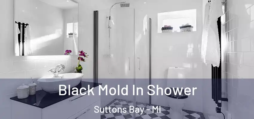 Black Mold In Shower Suttons Bay - MI
