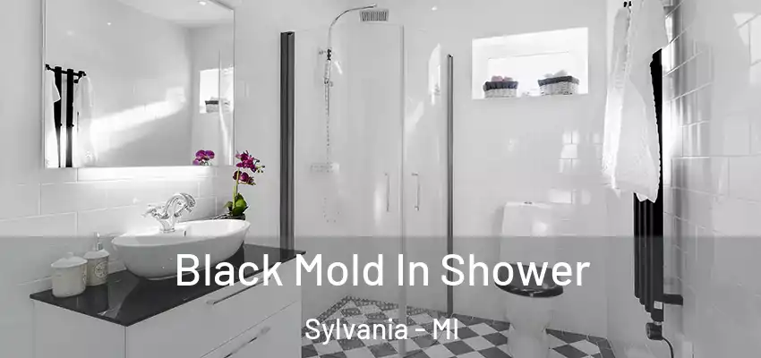  Black Mold In Shower Sylvania - MI