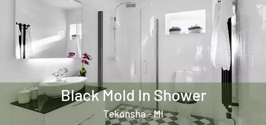  Black Mold In Shower Tekonsha - MI