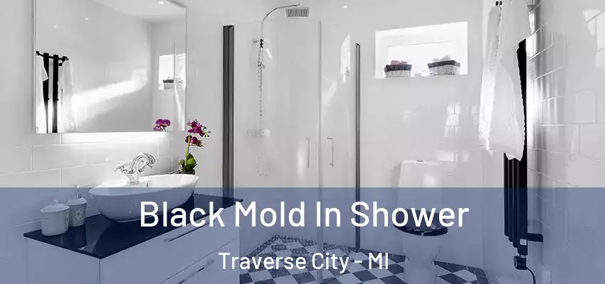  Black Mold In Shower Traverse City - MI