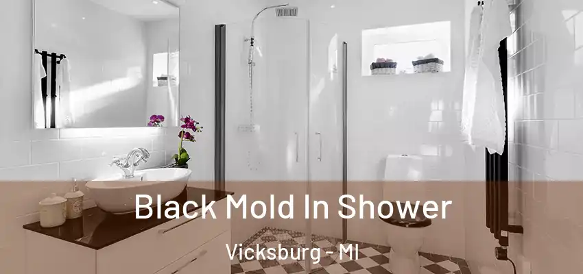  Black Mold In Shower Vicksburg - MI