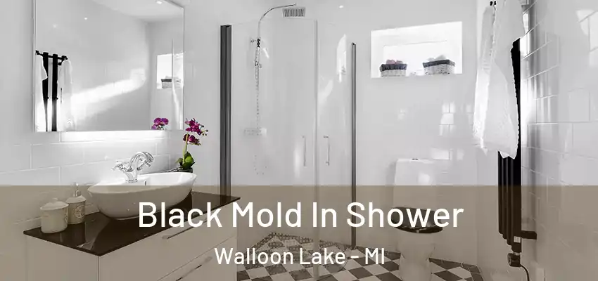 Black Mold In Shower Walloon Lake - MI