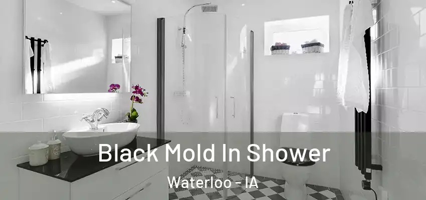 Black Mold In Shower Waterloo - IA