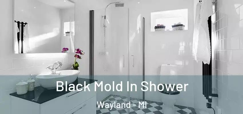 Black Mold In Shower Wayland - MI