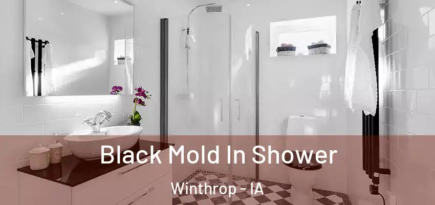  Black Mold In Shower Winthrop - IA