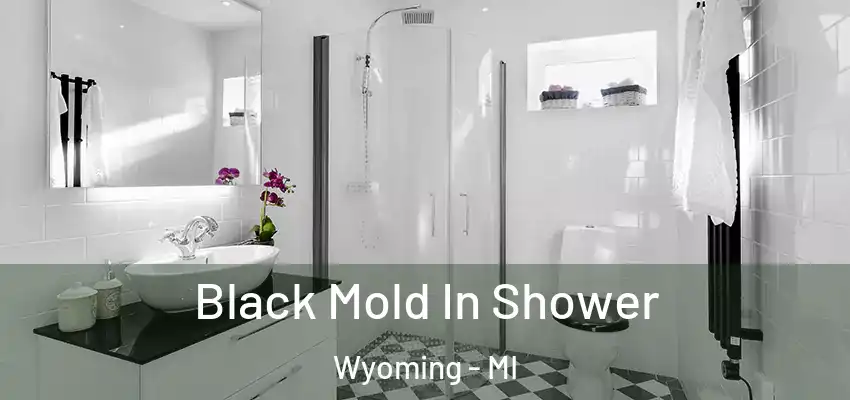  Black Mold In Shower Wyoming - MI