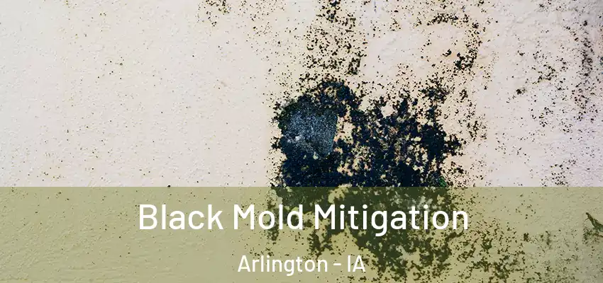  Black Mold Mitigation Arlington - IA