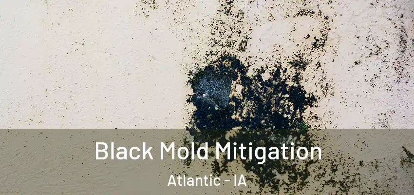  Black Mold Mitigation Atlantic - IA