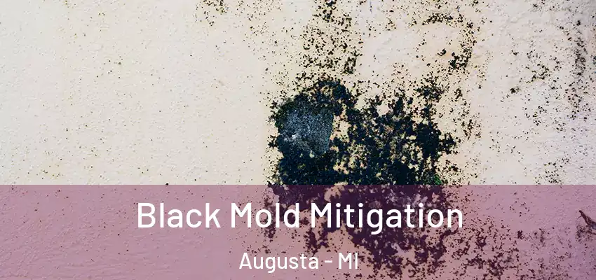  Black Mold Mitigation Augusta - MI