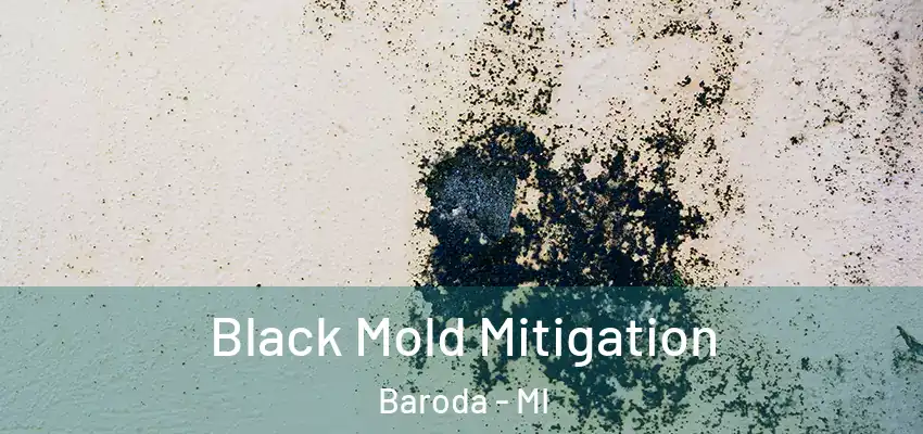 Black Mold Mitigation Baroda - MI