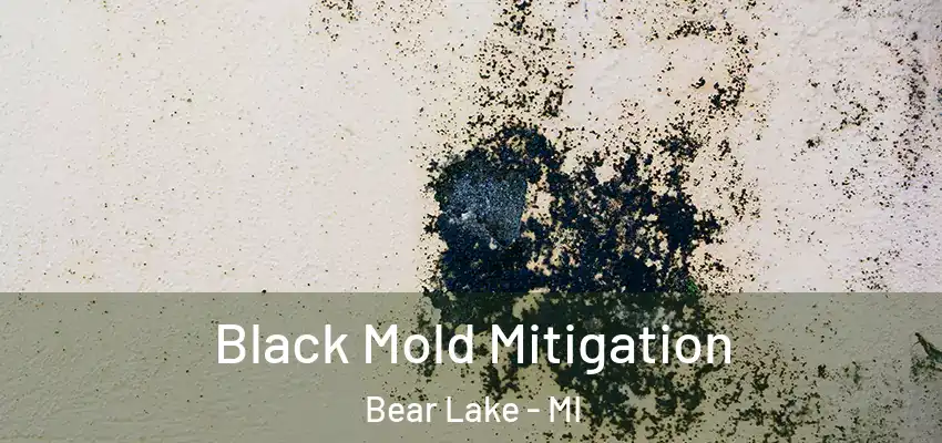  Black Mold Mitigation Bear Lake - MI