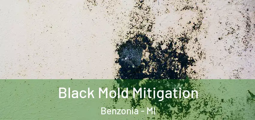  Black Mold Mitigation Benzonia - MI