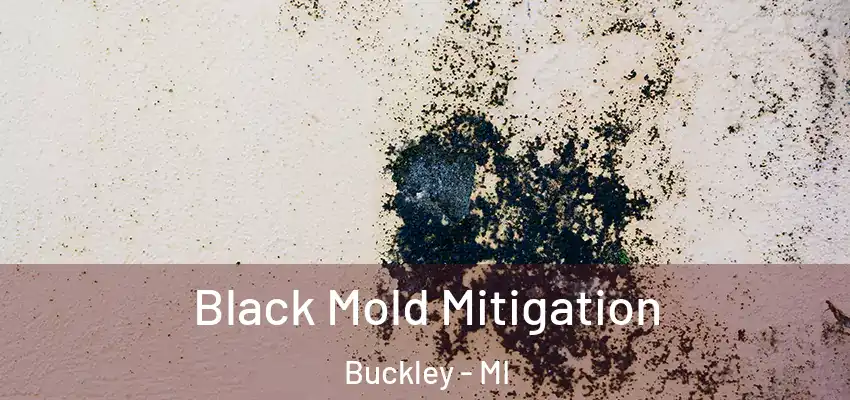  Black Mold Mitigation Buckley - MI