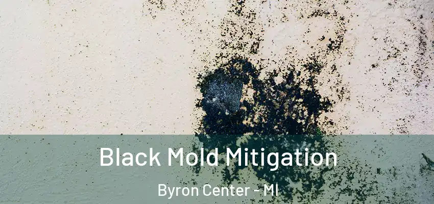  Black Mold Mitigation Byron Center - MI