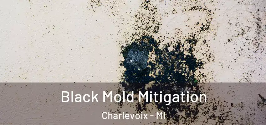 Black Mold Mitigation Charlevoix - MI