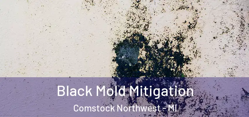  Black Mold Mitigation Comstock Northwest - MI