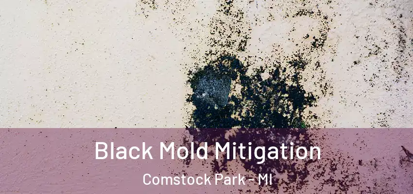  Black Mold Mitigation Comstock Park - MI