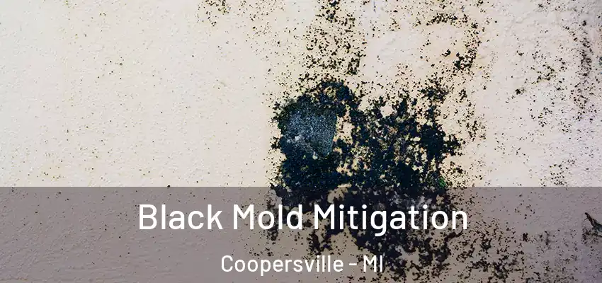  Black Mold Mitigation Coopersville - MI