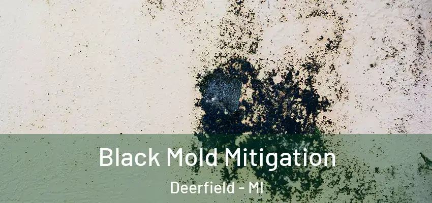  Black Mold Mitigation Deerfield - MI