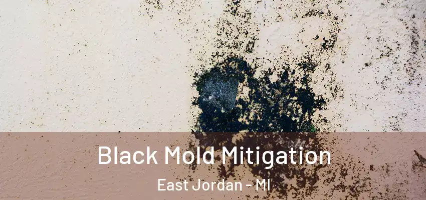  Black Mold Mitigation East Jordan - MI